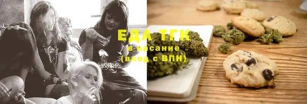 индика Богданович